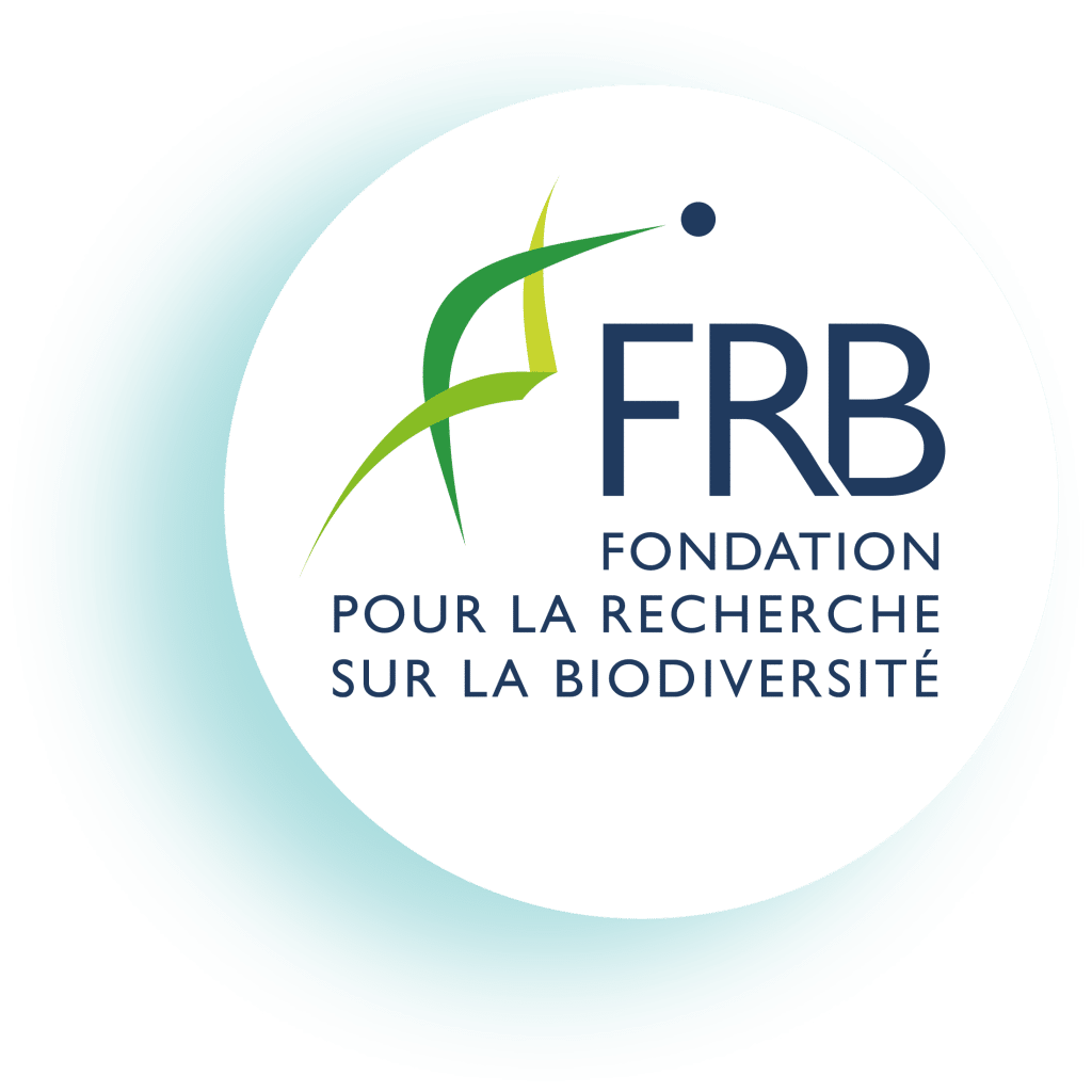 Logo FRB