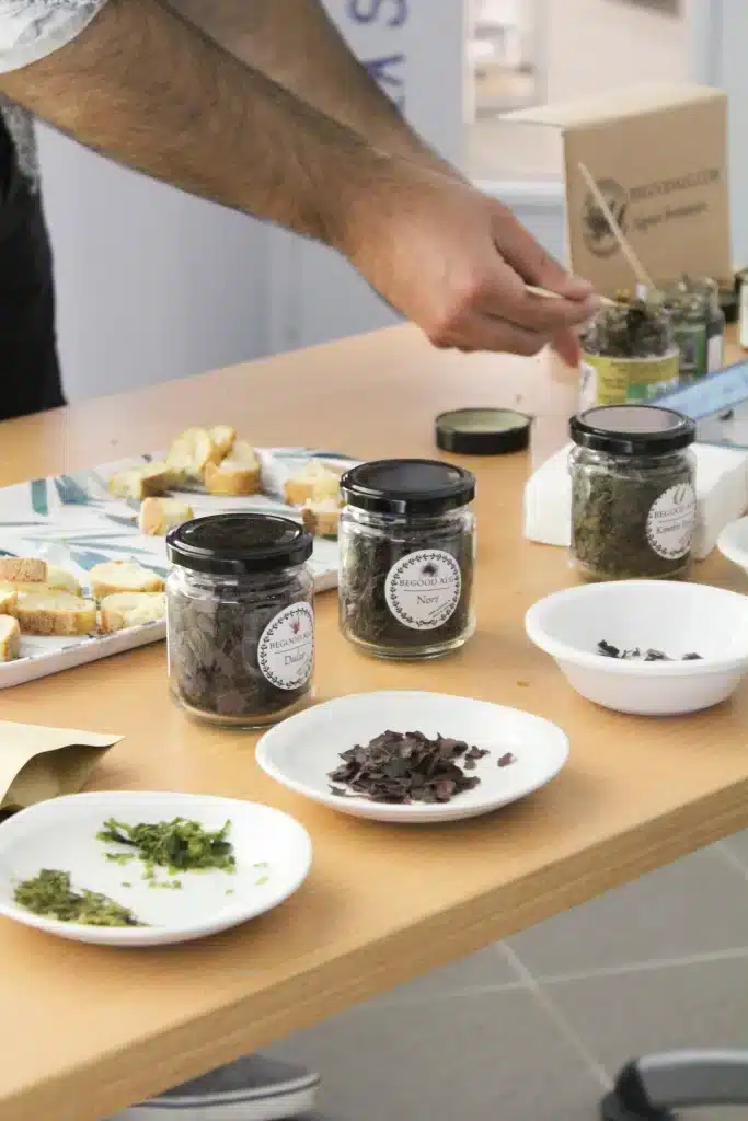Dégustations des algues sèches et en tartare, avec du pain, de l'entreprise Bigood'alg